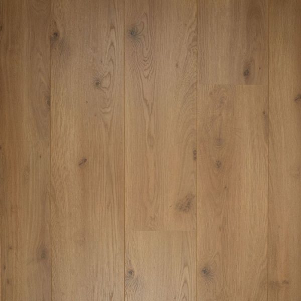 Douwes Dekker Sympathiek Brede Plank 05039 Peterselie_1920x1920